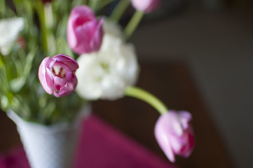 tulips, lisianthus