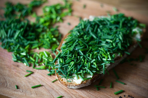Võileib murulauguga / chive sandwich