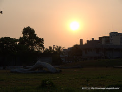 林業公園夕陽