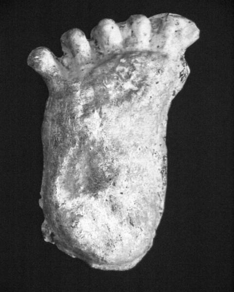 Photos by Earl Ward | A plaster cast created from a Bigfoot print.
