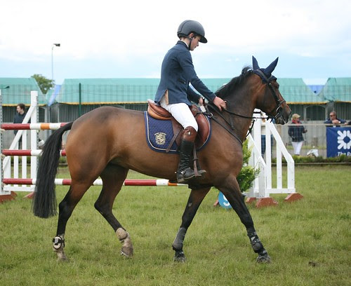 Showjumping