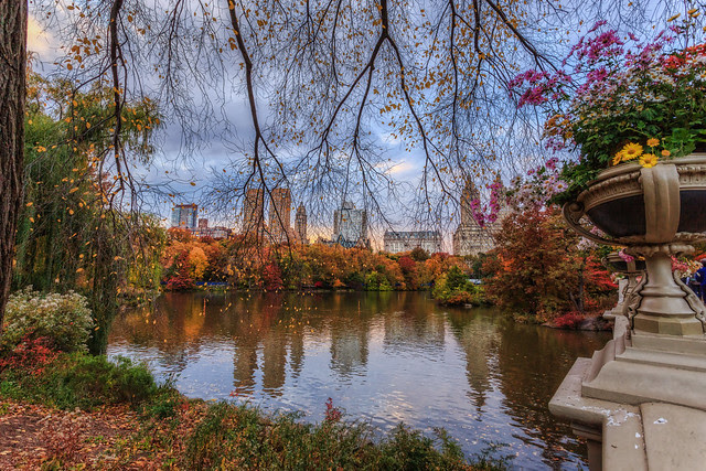 Central Park and the Lake
