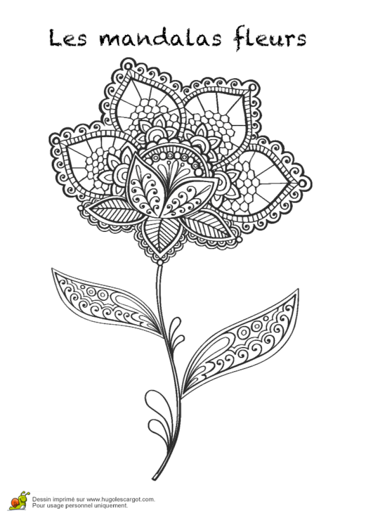 Meilleures pages à colorier sous le sujet coloriage mandala fleur hugo
