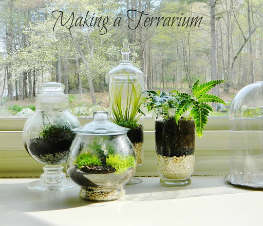 http://www.homeologymodernvintage.com/2013/04/making-terrarium-gardening-for.html