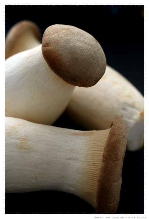 king oyster mushrooms© by Haalo