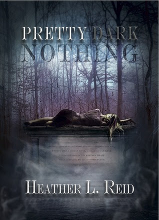 Pretty Dark Nothing (Pretty Dark Nothing, #1)