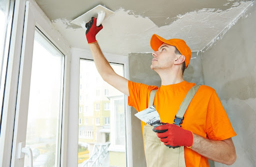 Ceiling Renovation