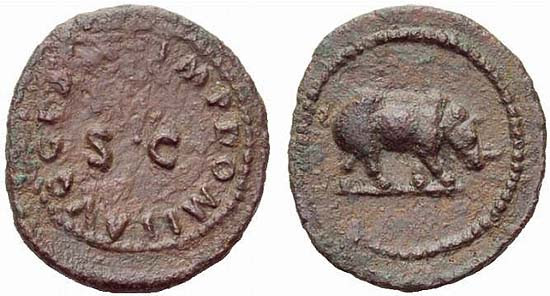 Bronze coin of Domitian with the image of a rhinoceros, A.D. 88, RIC 249-250 (424-435)