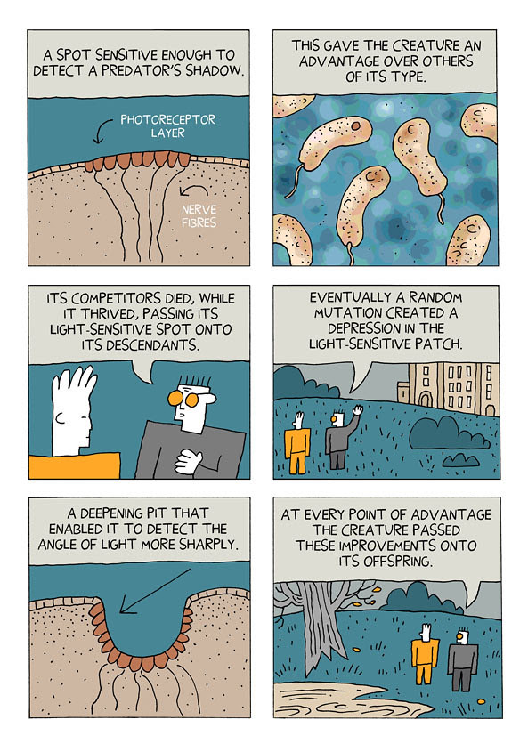 evolution 16