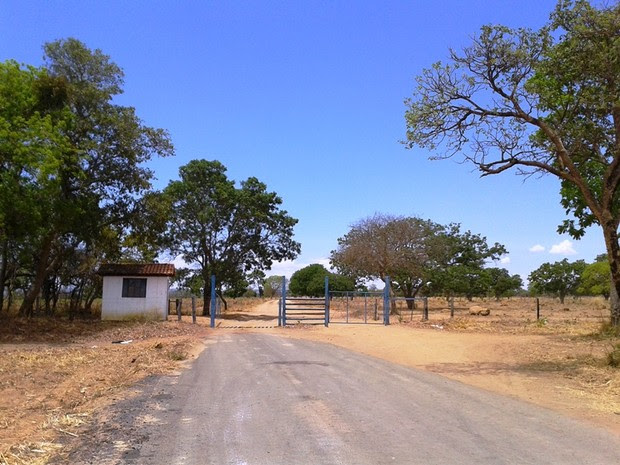 Fazenda fica nas margens da BR-365 (Foto: Michelly Oda / G1)