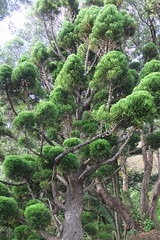 nz 047