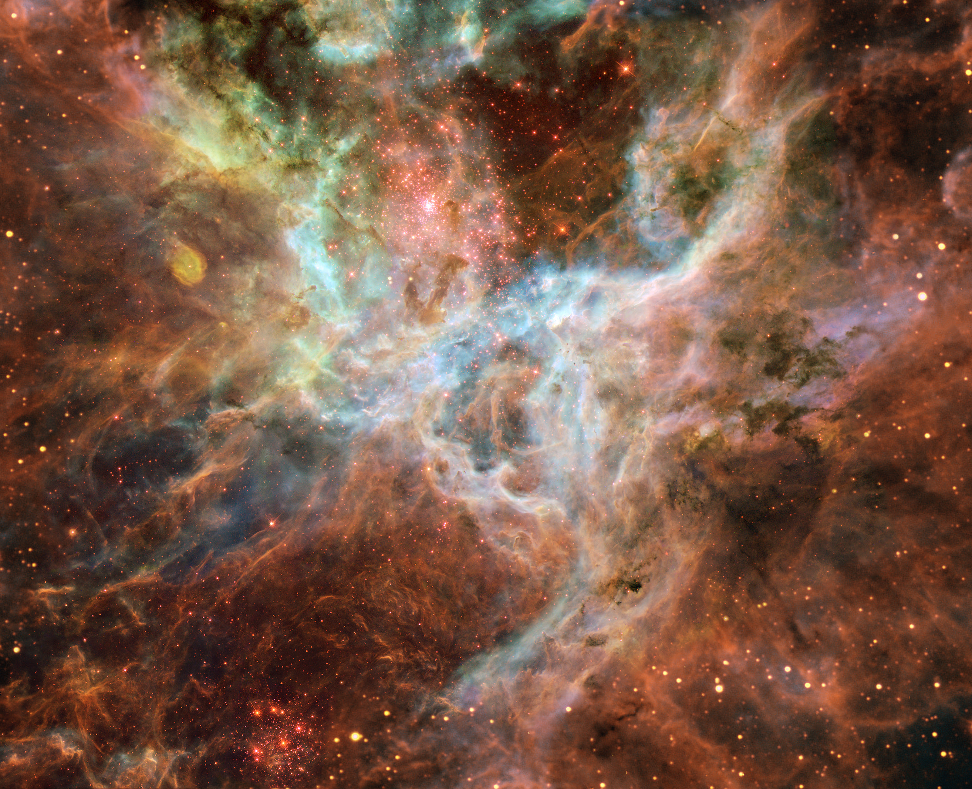 http://upload.wikimedia.org/wikipedia/commons/d/da/Tarantula_Nebula_-_Hubble.jpg