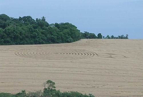 Agroglifos em Ipuaçú, Brasil