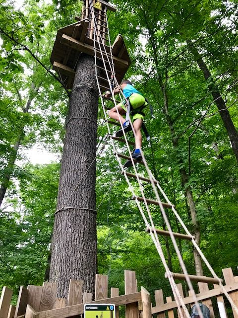 photo GoApe2_zpsdwkymozn.jpg