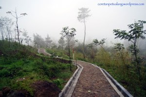 Jalan Menuju Candi
