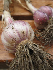 #182 - Garlic from our Garden