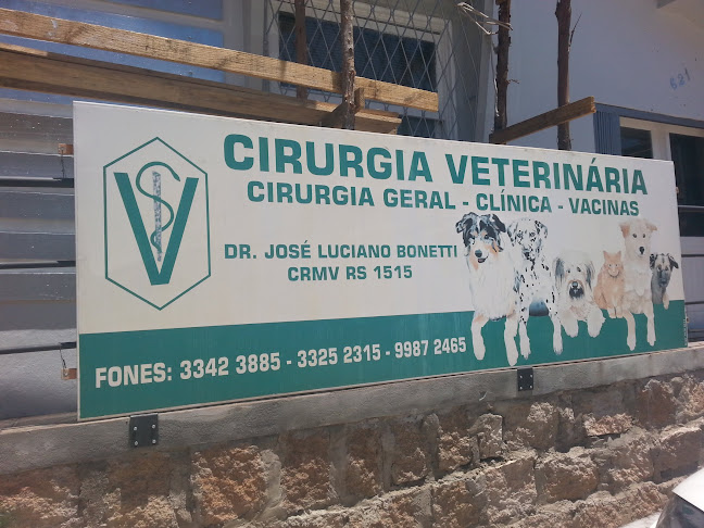 Comentários e avaliações sobre Kuri Vet Cirurgia Veterinária