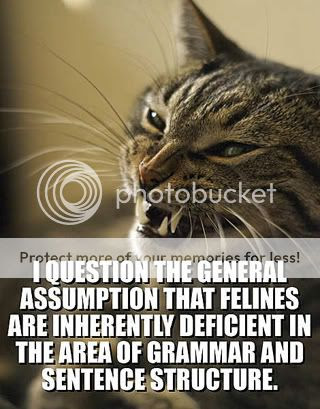 I question the general assumption that felines are inherently deficient in the area of grammar and sentence structure