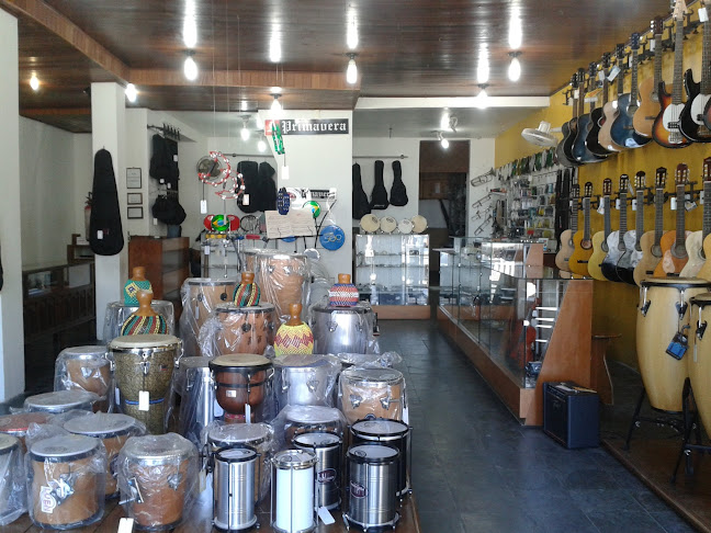Avaliações sobre A Primavera em Salvador - Loja de instrumentos musicais