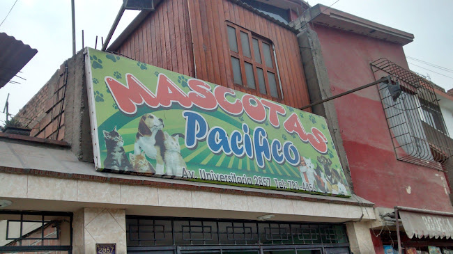 Av. Universitaria 2857 B, San Martín de Porres 15302, Perú