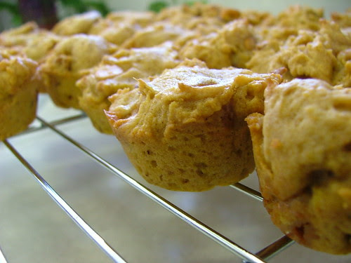 Mini Butterscotch Pumpkin Muffins