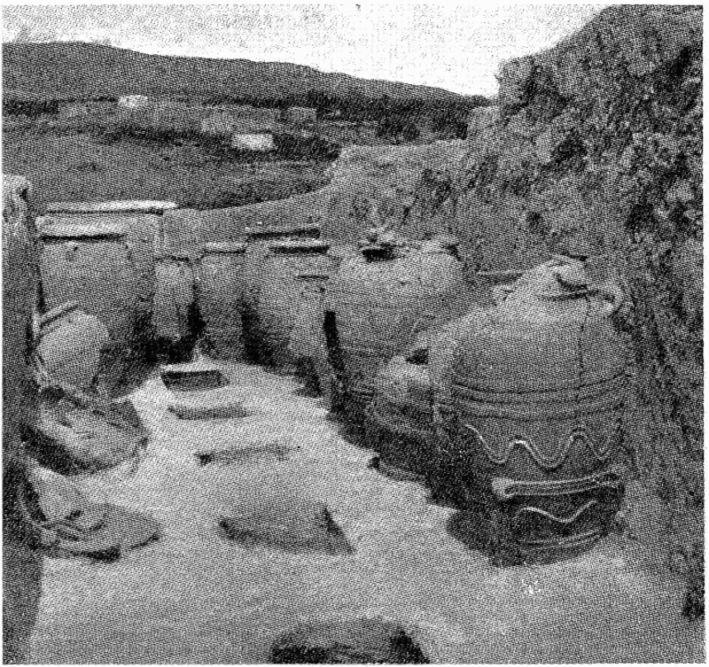 D273-cnosse (knossos), un magasin à amphores.-L2-Ch8.png