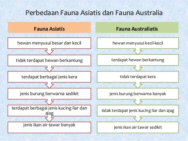 Perbedaan Tipe Fauna Asiatis Dan Australis Terkait Perbedaan