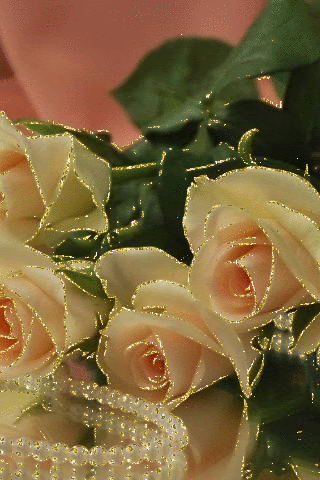 Розы и жемчуг