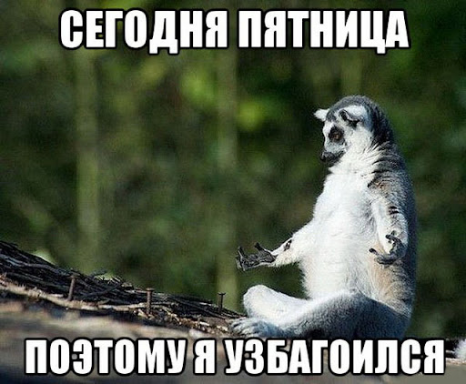 IHcCurW9DiFC20d9aWz9T7YIrOtJDVz76GYuyPml2OaHBbR4UQdIW8qyMccxfhQsGTMmLcxhjXPZI5MW0rc4P7chn99H73avGAXZBhKRtN4