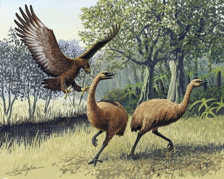 MOA