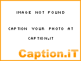 Picture Captions