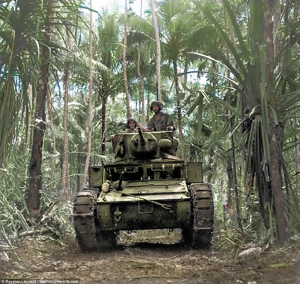 Pictured, US troops driving a tank through a dense jungle landscape during the height of the Second Wold War 