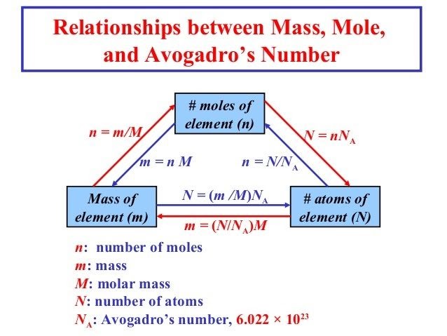 The Mole And Avogadro S Number Worksheet Answers - worksheet