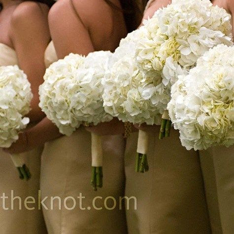 For bridesmaids, consider bouquets of hydrangea. This big flower will pack a lot of "OOMF" with just a few stems. You can opt for white like the ones here, or add a little color!  Personally, I like the idea of going with all white for the bridesmaids and then adding a little bit of color to the bridal bouquet. Creates a beautiful pop against a white gown!
