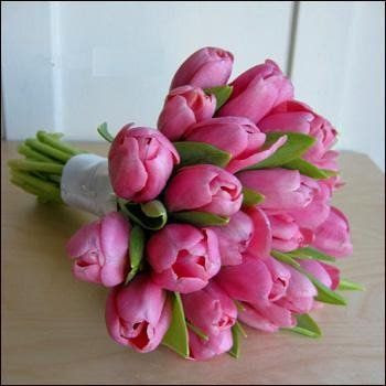 Tulipas
