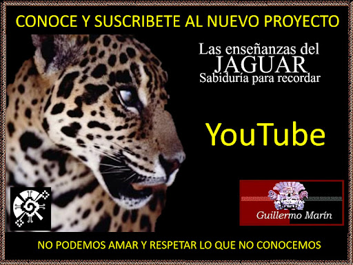 5 Las enseñanzas de Jaguar 5