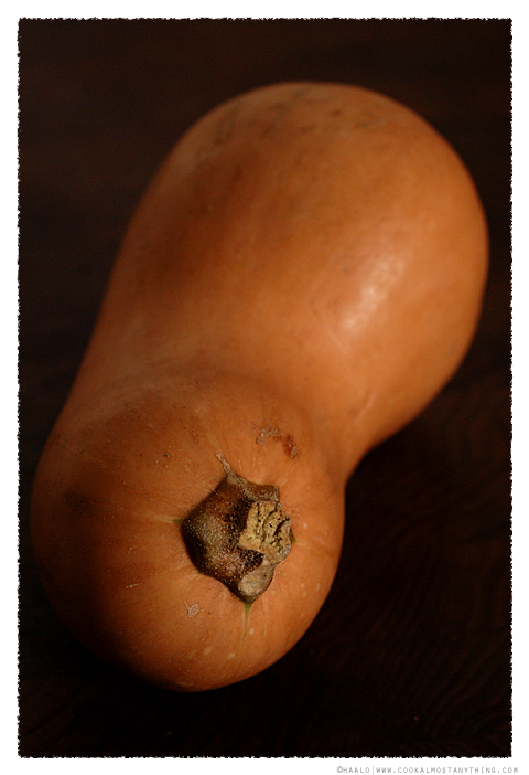 butternut pumpkin© by Haalo