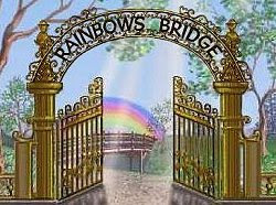 The Rainbows Bridge Poem