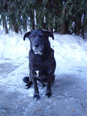 tala cody snow jan 09 062