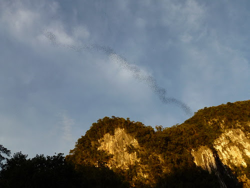 Gunung Mulu