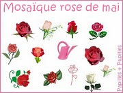 Mosaique Rose de Mai - Jeu Papilles et Pupilles