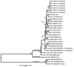 Thumbnail of Midpoint-rooted maximum-likelihood phylogeny of 29 Mayaro virus strains on the basis of complete genome sequences, Venezuela, 2010. Nodes are labeled with bootstrap values ≥90%. Tip labels indicate year of isolation, strain name, and country of isolation. Scale bar indicates percentage nucleotide sequence divergence. Isolates DQ001069 and KJ013266 were previously sequenced and obtained from GenBank.