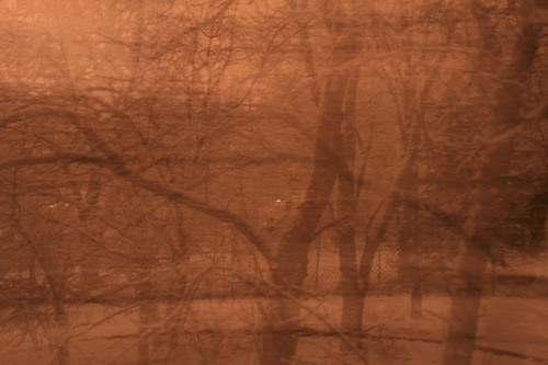 walking at night