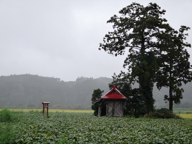A shrine in a field
