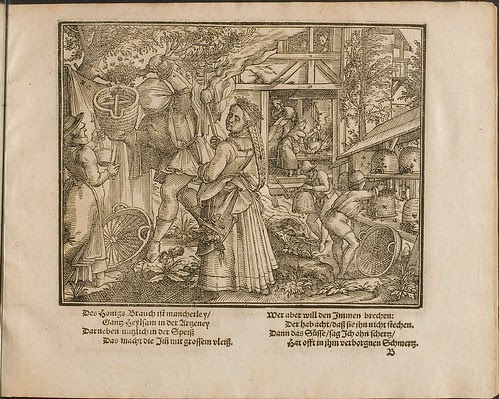 Kunstliche Wolgerissene Figuren by Tobias Stimmer and Christoph Maurer 1605 (HAB)