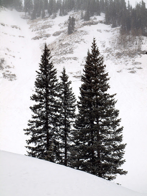 Typical Spring day in the Rockies...