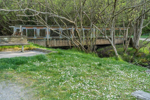 State Park «Dash Point State Park», reviews and photos, 5700 SW Dash Point Rd, Federal Way, WA 98023, USA