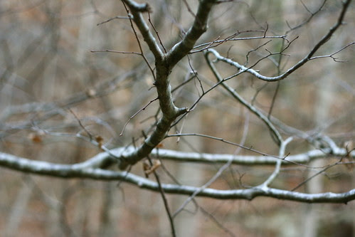 barren