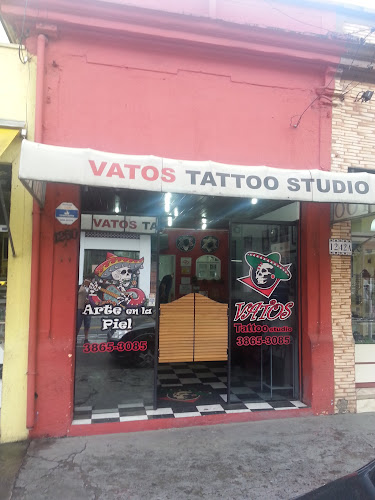 Avaliações sobre Tattoo Survivor em São Paulo - Estúdio de tatuagem