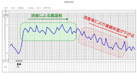 陽性 体温下がった 妊娠検査薬